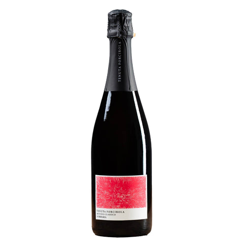 Spumante Metodo Classico Lambrusco di Sorbara Brut Nature 2021 - Tenuta Forcirola