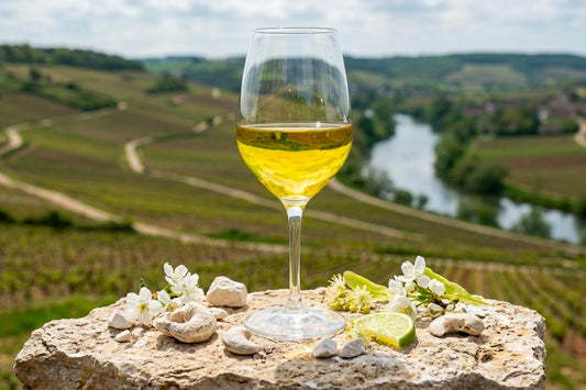 Chablis Premier Cru e Grand Cru: quali scegliere e quanto costano