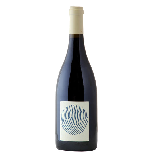 Saumur-Champigny "Beauregard" 2020 - Domaine Des Sanzay
