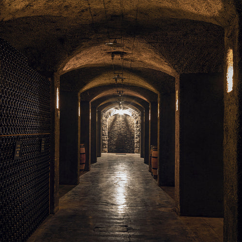 Il Metodo Ca’ del Bosco