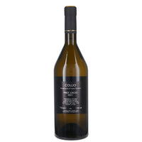 Collio Pinot Grigio DOC 2025 - Simon Komjanc