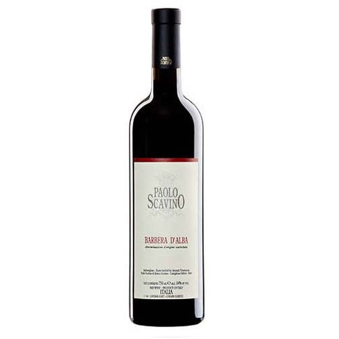 Barbera d'Alba DOC 2023 - Paolo Scavino