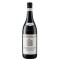 Barbera d'Alba Superiore DOC 2024 - Scarzello