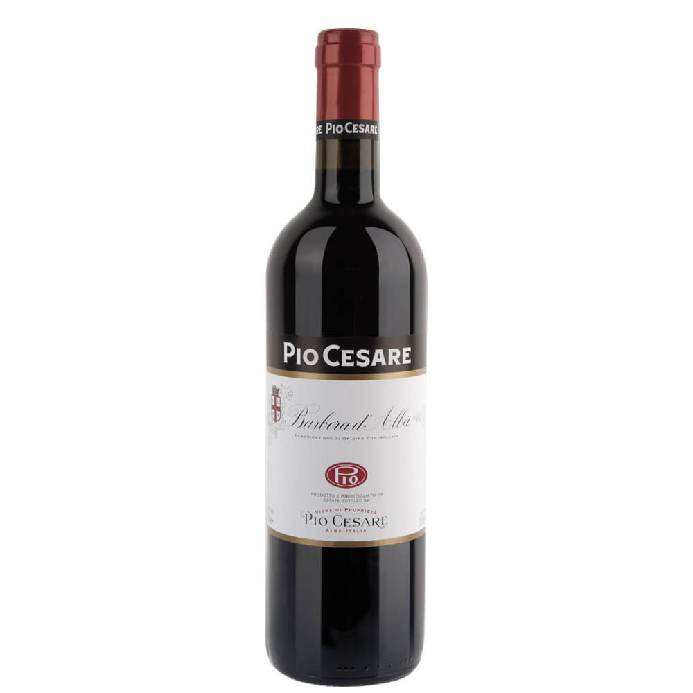 Barbera d'Alba DOC 2023 - Pio Cesare