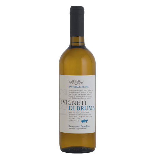 Beneventano Falanghina IGP "Vigneti di Bruma" 2023 - Fattoria La Rivolta