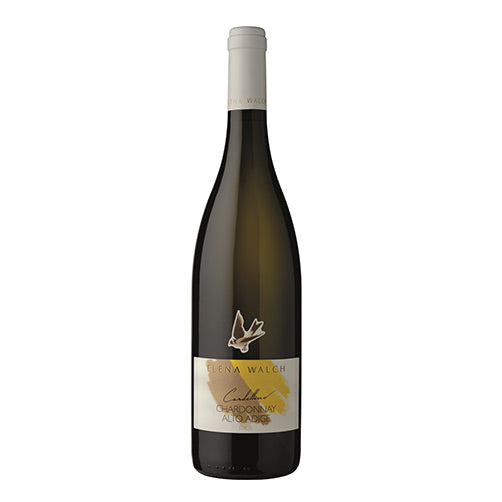 Alto Adige Chardonnay "Cardellino" 2025 - Elena Walch