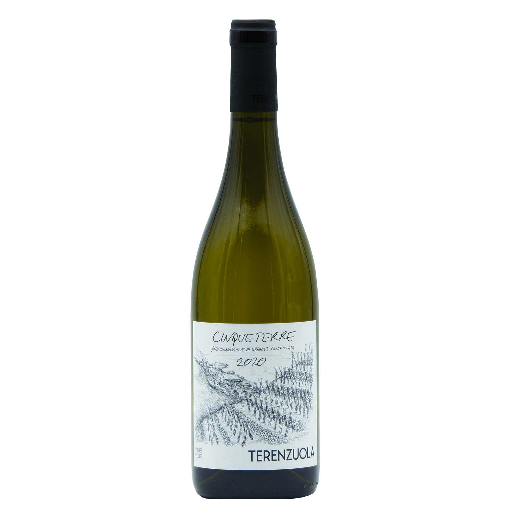 Cinque Terre Bianco DOC 2025 - Terenzuola