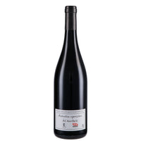 Vino Rosso "Rosso Arcaico" - Andrea Occhipinti