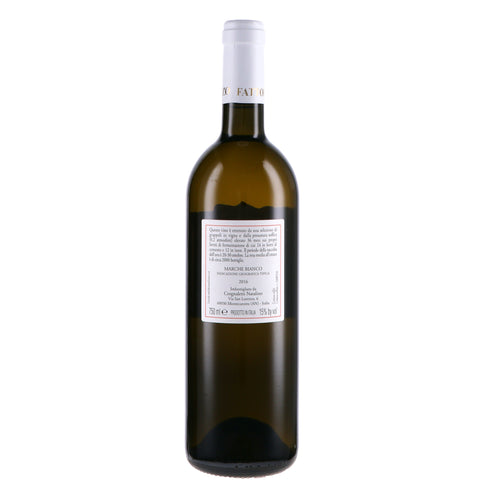 Marche Bianco IGT "Campo delle Oche" 2021 - Fattoria San Lorenzo
