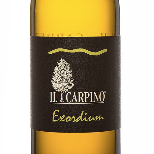 Friulano IGT “Exordium” 2020 - Il Carpino