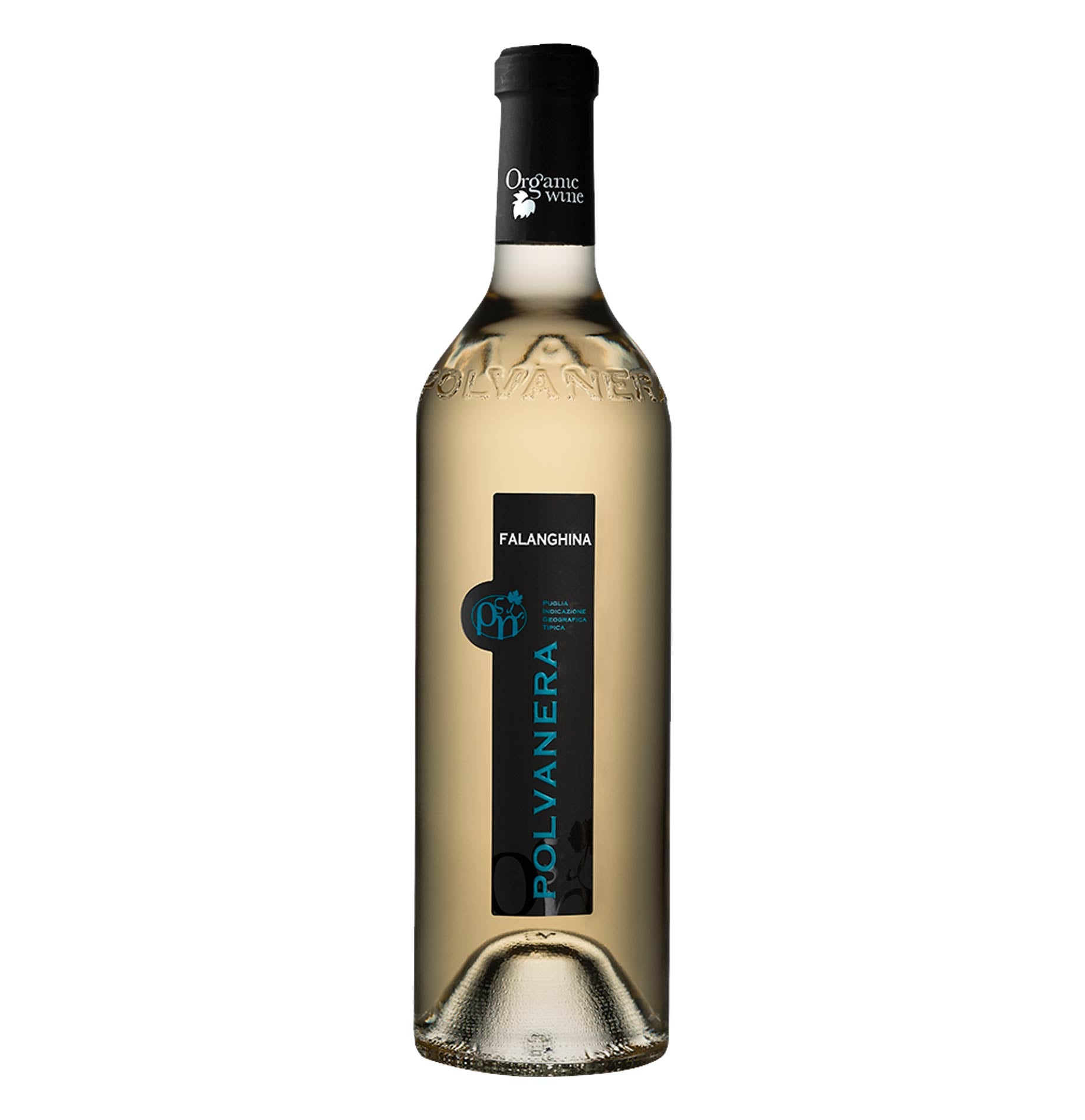 Puglia Falanghina IGT 2025 - Polvanera