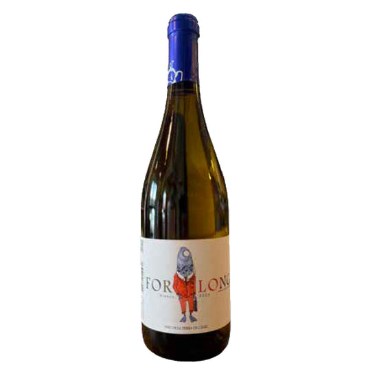 Castilla y Leon Vino Bianco “Blanco” 2023 - Bodega Forlong