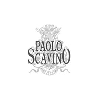 Barbera d'Alba DOC 2024 - Paolo Scavino